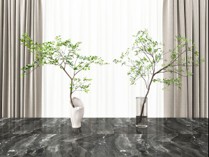 modern plant ornaments Modelo 3D