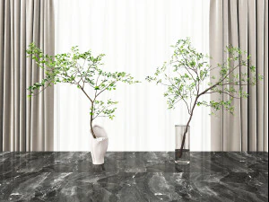 ornamen tanaman modern Model 3D