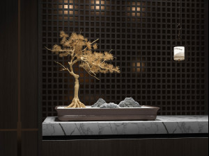 modern plant ornaments Modelo 3D