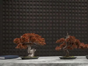 modern plant ornaments 3D Model