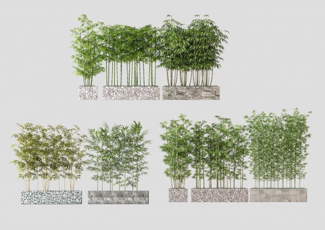 modern plants 3D 모델 .c4d .max .obj .3ds .fbx .stl .blend 
