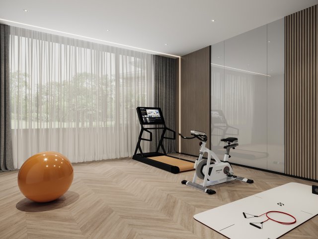 modern gym Model 3D .c4d .max .obj .3ds .fbx .stl .blend 
