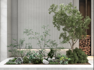 modern plants Model 3D