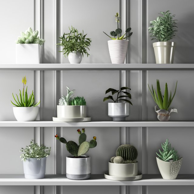 modern potting 3D Model .c4d .max .obj .3ds .fbx .stl .blend 