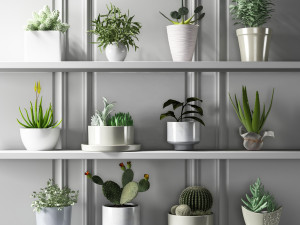 modern potting 3Dモデル
