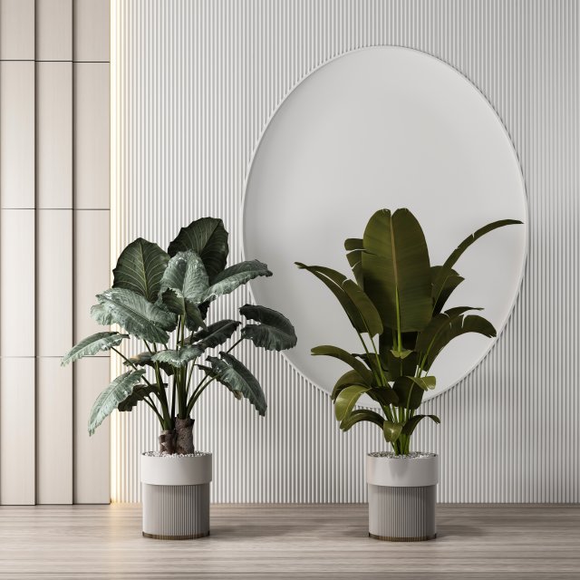 modern potted plants 3D Model .c4d .max .obj .3ds .fbx .stl .blend 