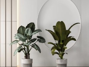 modern potted plants Modello 3D
