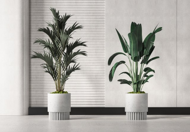 modern potted plants Modèle 3D .c4d .max .obj .3ds .fbx .stl .blend 