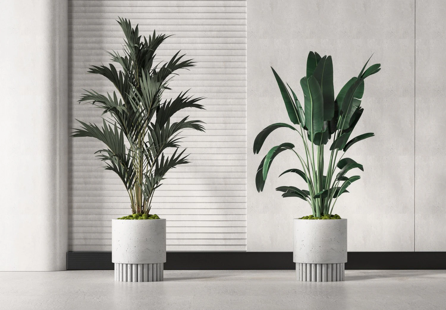 modern potted plants 3D Model .c4d .max .obj .3ds .fbx .stl .blend