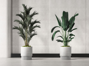 modern potted plants 3D Model