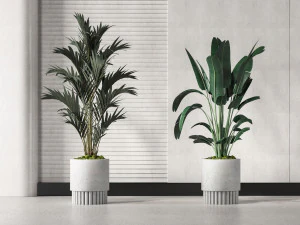 vasos de plantas modernos Modelo 3D