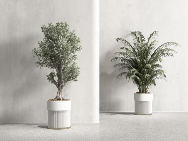Modern Plants 3D Model .c4d .max .obj .3ds .fbx .stl .blend 