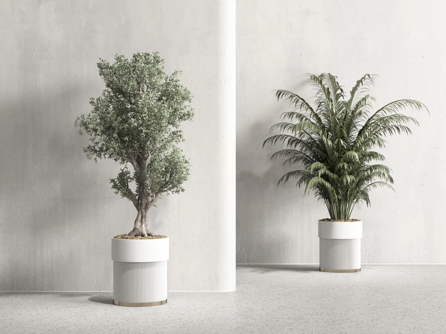 Modern Plants 3D Model .c4d .max .obj .3ds .fbx .stl .blend 