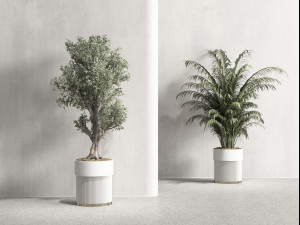 Modern Plants Modèle 3D