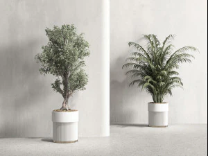 Modern Plants 3D Model