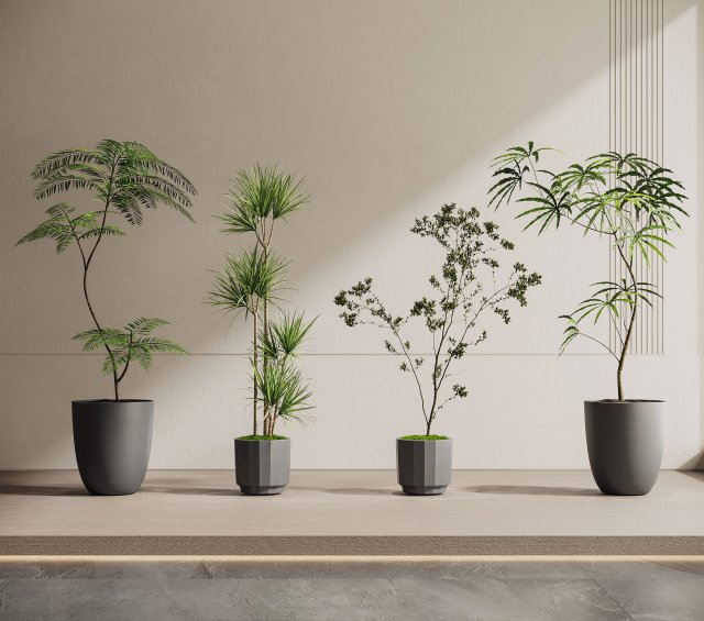 Modern plants Modello 3D .c4d .max .obj .3ds .fbx .stl .blend 