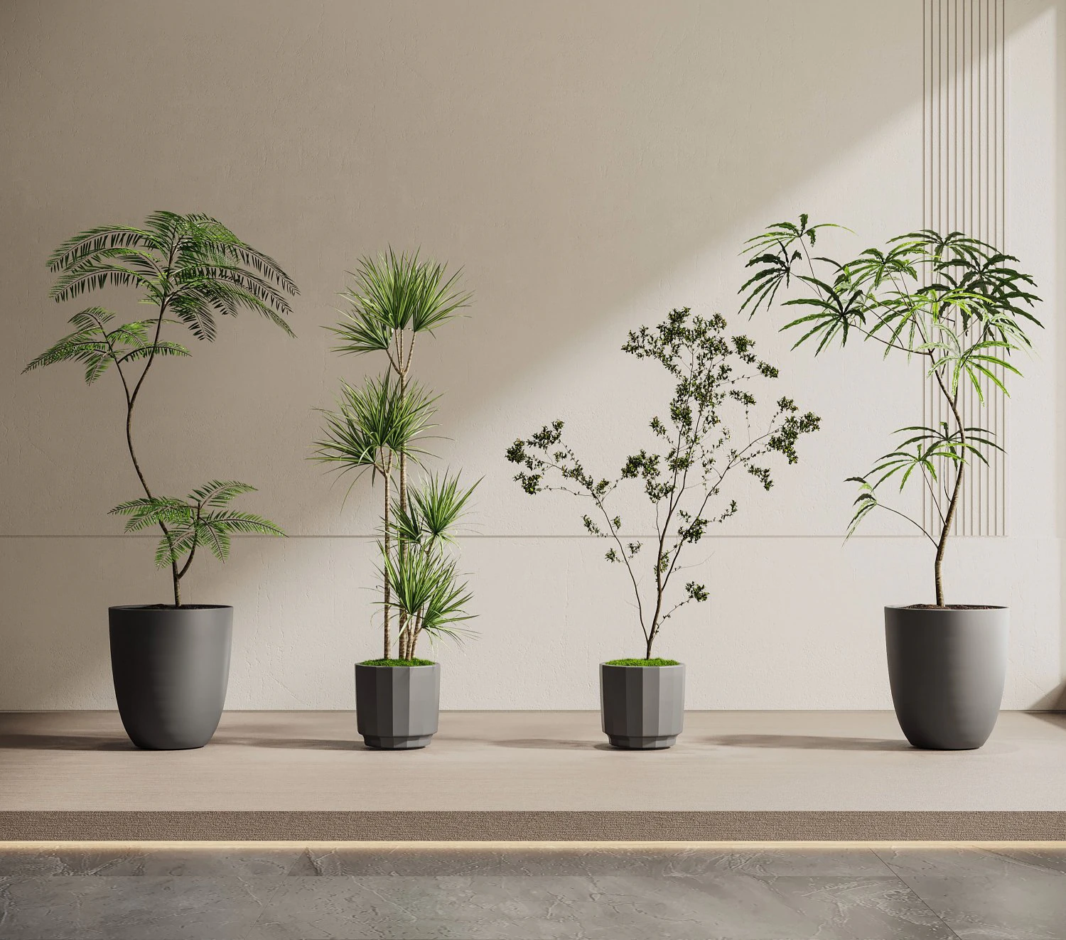 Modern plants 3D Model .c4d .max .obj .3ds .fbx .stl .blend 