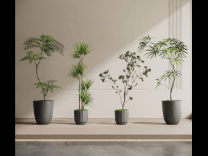 現代の植物 3Dモデル