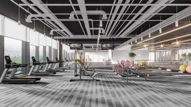 Modern gym 3D Model .c4d .max .obj .3ds .fbx .stl .blend 