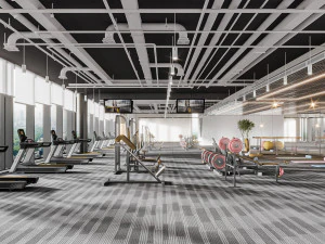 Modern gym 3D Model