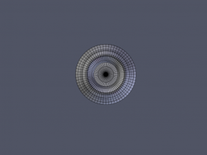vase zubr Modello 3D