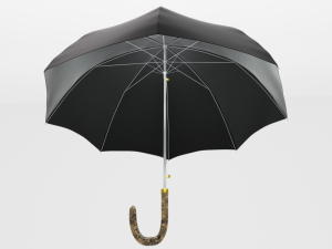 umbrella diplomat Model 3D