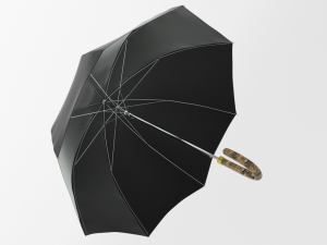 umbrella diplomat Model 3D