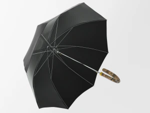 umbrella diplomat 3D Model