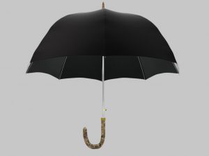 umbrella diplomat Model 3D