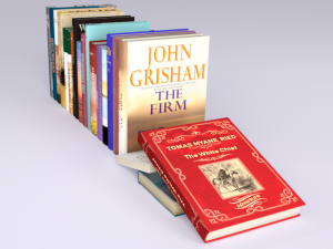 20 new books 3D Model