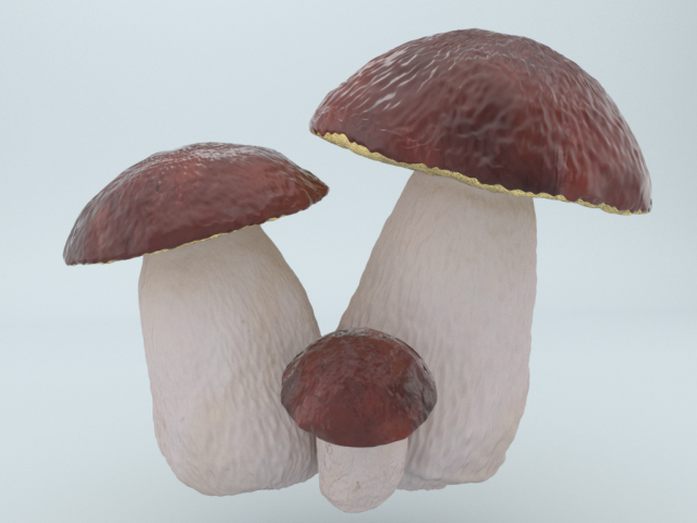 mushrooms 3D Model .c4d .max .obj .3ds .fbx .stl .blend 