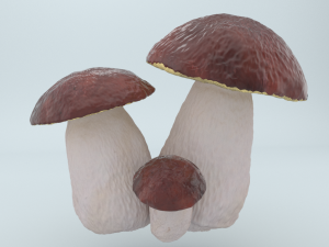 mushrooms 3D Models