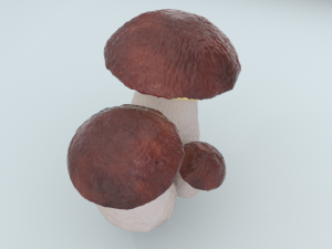 mushrooms 3D Model