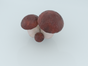 mushrooms 3D Model
