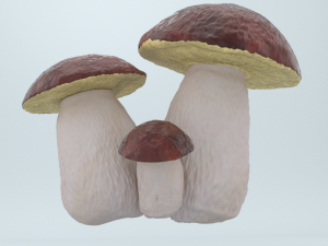 mushrooms 3D Model