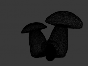 mushrooms 3D Model