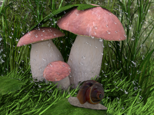 mushrooms 3D Model