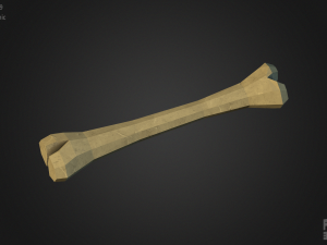 stone age asset 3D Model