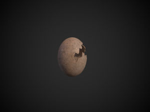 broken dinosaur egg 3D Model
