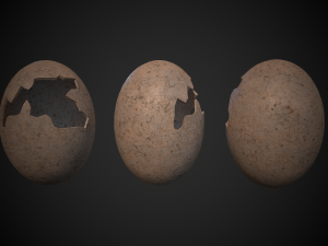 broken dinosaur egg 3D Model