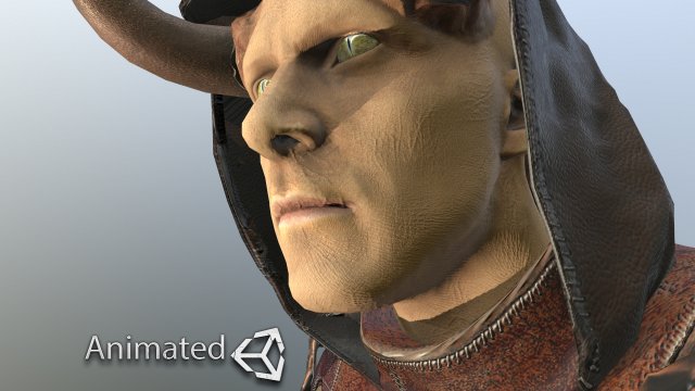 fallen druid 3D 모델 .c4d .max .obj .3ds .fbx .stl .blend 