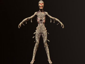 mummy 3D Model