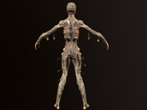 mummy 3D Model