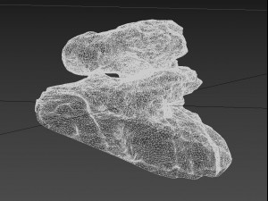 3d scanned rock Modello 3D