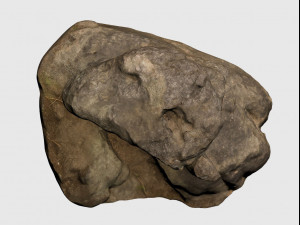 3d scanned rock Modello 3D