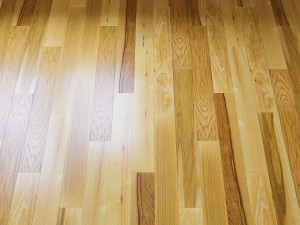 parquet upofloor ash ash 3D 模型