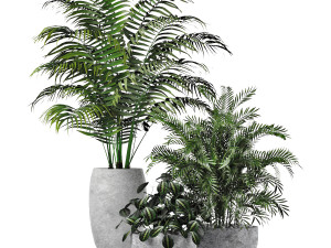 plants indoor 3D Модель