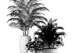plants indoor 3D Model