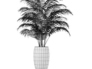 plants indoor 3D Model