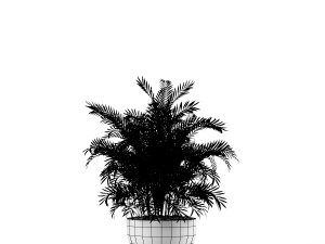 plants indoor Modelo 3D